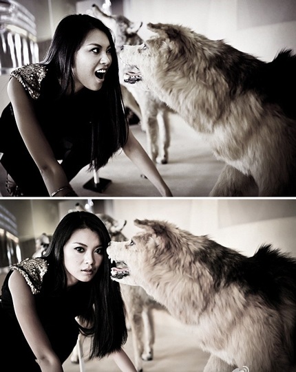 Một bức ảnh thời trang ấn tượng của hoa hậu Vu Văn Hà