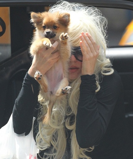 Amanda Bynes bị ám ảnh bởi cân nặng - 3 Amanda Bynes hiện đang theo dõi tại một bệnh viên tâm thần