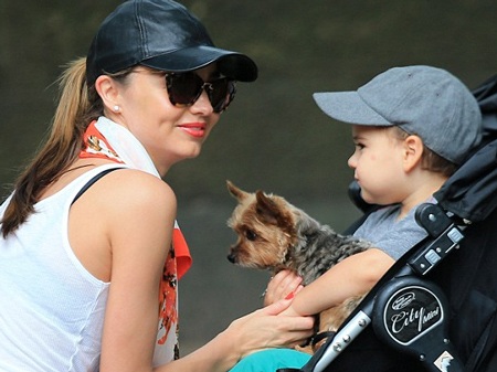 Cậu nhóc hiền khô ngồi yên trên xẻ đẩy và ôm chặt chú cún cưng tên Frankie.