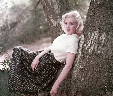 Công bố loạt ảnh hiếm về "quả bom sex" Marilyn Monroe - 5 Một bức ảnh chân dung Marilyn Monroe được chụp vào tháng 9/1953