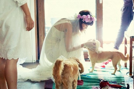 Chú chó nhỏ là một trong những vị khách đặc biệt của đám cưới.