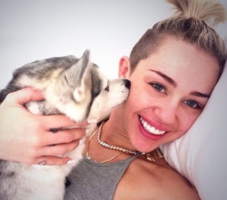 Miley Cyrus đang hò hẹn với người mới - 1 Miley Cyrus đang hò hẹn với người mới