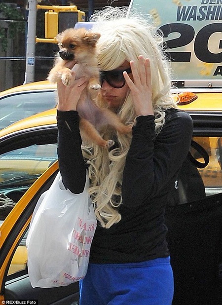 Ngôi sao bị tâm thần Amanda Bynes được xuất viện - 1 Amamda Bynes được chuyển tới một trung tâm cai nghiện dành cho ngôi sao