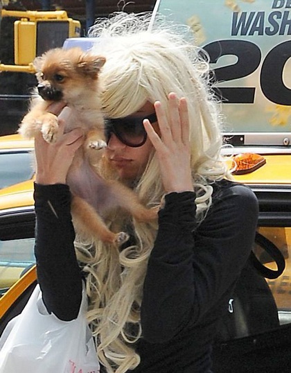 Sinead O'Connor trong clip nổi tiếng