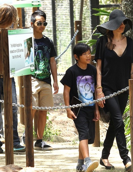 Sau khi mua sắm, cả nhà kéo tới một công viên. Angelina Jolie nắm tay cậu con trai Pax Thiên.