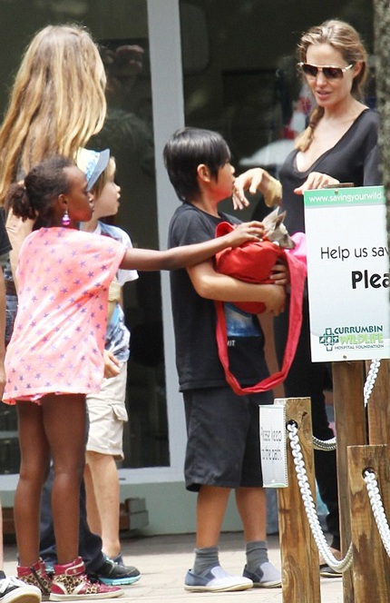 Angelina Jolie liên tục hỏi Pax Thiên và em kangaroo