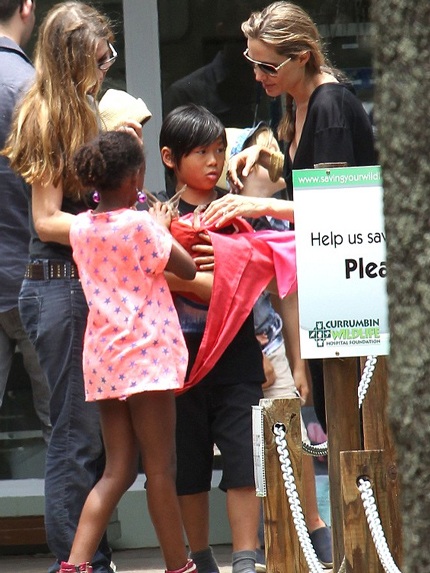 Angelina Jolie liên tục hỏi Pax Thiên và em kangaroo