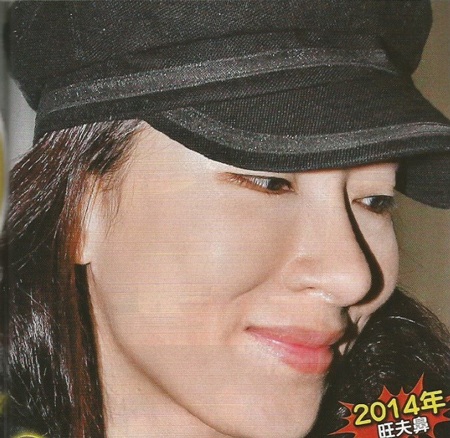 Dương Di đã có 15 năm hoạt động nghệ thuật