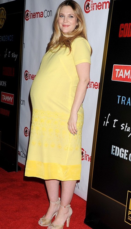 Drew và Adam sẽ tiếp tục hợp tác trong bộ phim mang tên