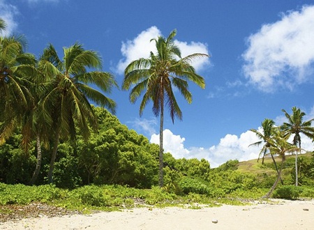 Jennifer thích một hôn lễ chỉ có 20 người chứng kiến.