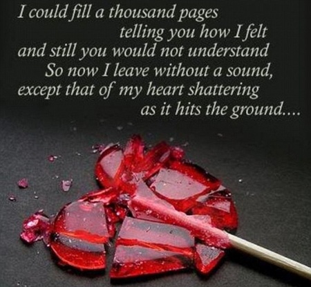 Danielle Lloyd không tha thứ cho chồng vì scandal ngoại tình