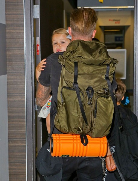 Bé Harper được tết bím rất đáng yêu tìm cách né giới săn tin bằng cách gục đầu lên vai bố.