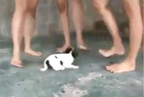 Hình ảnh cắt từ clip