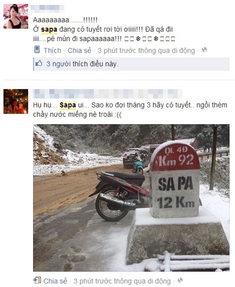 Tuyết Sa Pa phủ trắng... Facebook - 12 Những vị khách du lịch đầu tiên đặt phòng tại khu du lịch Sapa để ngắm tuyết