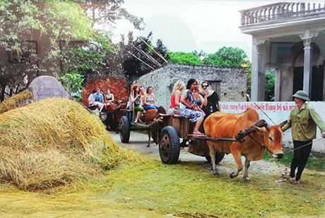 Chiêm ngưỡng vẻ đẹp Việt Nam qua ảnh báo chí - 2 Du lịch thôn dã bằng xe bò kéo luôn hấp dẫn du khách quốc tế tại Ninh Bình – tác giả Phùng Triệu