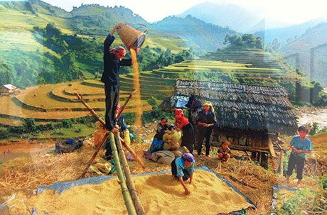 Chiêm ngưỡng vẻ đẹp Việt Nam qua ảnh báo chí - 3 Rê thóc ngày mùa ở Mù Cang Chải, Yên Bái – Nguyễn Văn Thắng