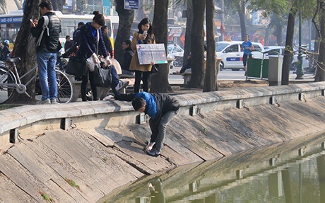 Nhặt rác ở các hồ, ao trong thành phố