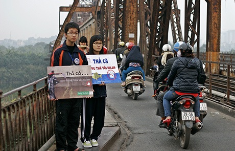Bạn trẻ giúp sức, hồ Hoàn Kiếm "vắng bóng" túi ni lông ngày thả cá - 8 Bạn trẻ tuyên truyền Thả cá đừng thả túi ni lông ở cầu Long Biên