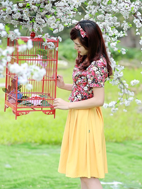 Sự kết hợp màu sắc cần phải hài hoà