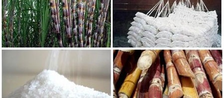“Huỵch toẹt” mảng tối ngành đường và thế đứng Hoàng Anh Gia Lai - 3 Trách nhiệm thuộc về ai?