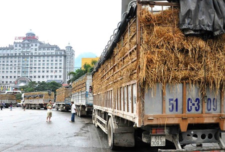 “Điệp khúc” ùn tắc nông sản: Trách nhiệm Bộ Công Thương ở đâu? - 1 Tình trạng ùn tắc nông sản tại biên giới Trung Quốc cứ đến hẹn lại lên