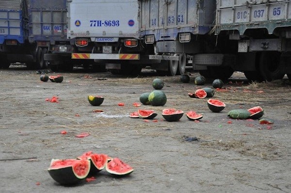 “Điệp khúc” ùn tắc nông sản: Trách nhiệm Bộ Công Thương ở đâu? - 2 Bộ có khuyến nghị gì với các doanh nghiệp để giảm thiểu thiệt hại hay không?