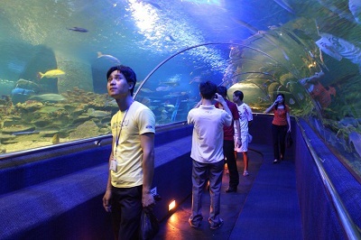 Mùa hè sôi động tại Vinpearl Land - 4