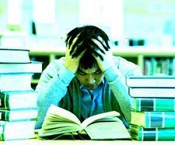 Giải pháp cho “bộ não” thời hiện đại - 1 Giải pháp cho “bộ não” thời hiện đại - 1