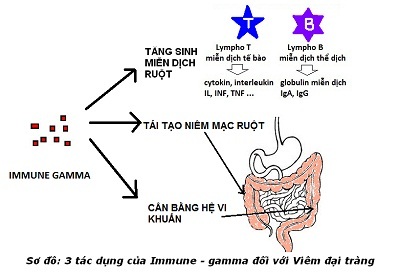 Bệnh nhân viêm đại tràng... "rùng mình" vì thực phẩm nhiễm bẩn! - 2