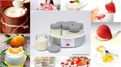 Máy làm sữa chua: Lựa chọn nào an toàn và phù hợp? - 1