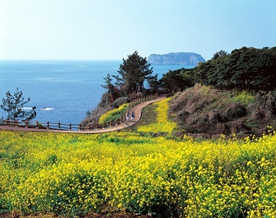 Du lịch Hàn Quốc hè 2011 cùng TransViet Travel - 2 Du lịch Hàn Quốc hè 2011 cùng TransViet Travel - 2