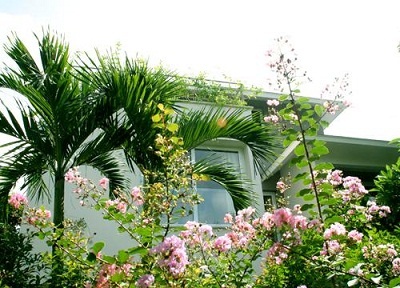 Ecopark sắc xanh tràn ngập mọi góc nhìn - 10 Ecopark sắc xanh tràn ngập mọi góc nhìn - 10
