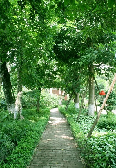 Ecopark sắc xanh tràn ngập mọi góc nhìn - 11 Ecopark sắc xanh tràn ngập mọi góc nhìn - 11
