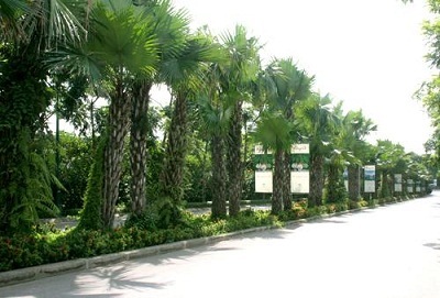 Ecopark sắc xanh tràn ngập mọi góc nhìn - 1 Ecopark sắc xanh tràn ngập mọi góc nhìn - 1