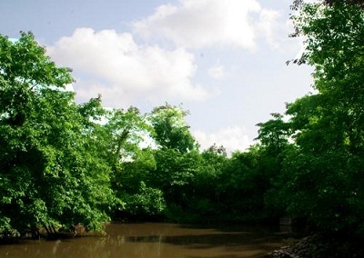 Ecopark sắc xanh tràn ngập mọi góc nhìn - 5 Ecopark sắc xanh tràn ngập mọi góc nhìn - 5
