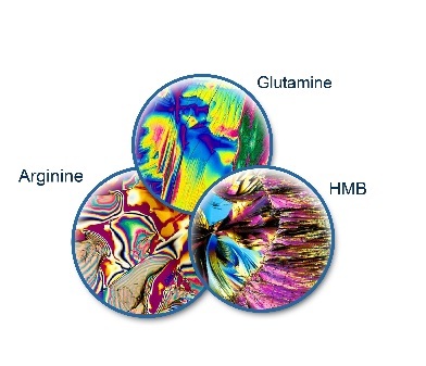 Dinh dưỡng dược – Khái niệm mới trong điều trị - 1