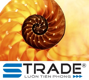 STrade 2011 phát triển theo đường trôn ốc - 2