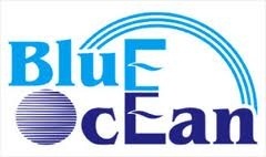 Chương trình O-Level, A Level - Cầu nối vào các trường đại học hàng đầu - 3