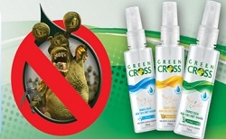 Để chuyến xe buýt về quê đón Tết thú vị hơn - 2