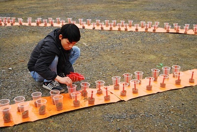 “Hương rừng - Chúc ngủ ngon” từ 3000 cây nến