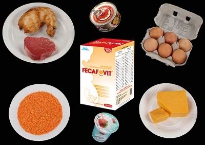 Dinh dưỡng toàn diện cho bà bầu trong suốt thai kỳ