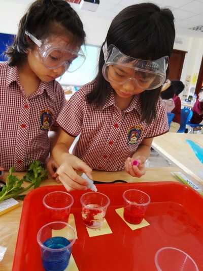 Trường Quốc tế BVIS thông báo tuyển sinh năm học 2012–2013