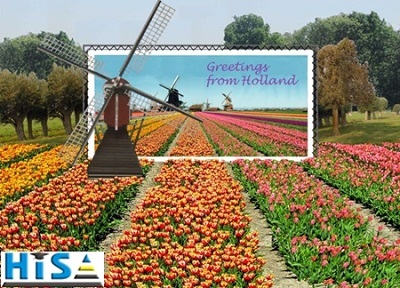 Học bổng du học Hà Lan - Miễn 100% phí dịch vụ