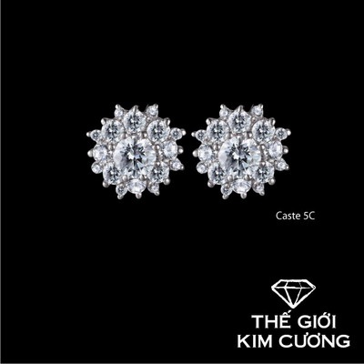 Thế giới kim cương ưu đãi mùa cưới 2012 - 9 Thế giới kim cương ưu đãi mùa cưới 2012