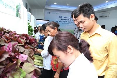 Rau sạch TH true VEG: An toàn từ gốc, tươi sạch tận ngọn