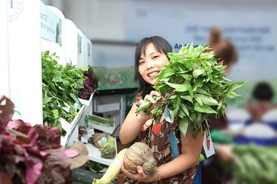 Rau sạch TH true VEG: An toàn từ gốc, tươi sạch tận ngọn