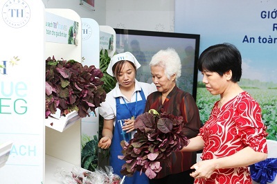 Rau sạch TH true VEG: An toàn từ gốc, tươi sạch tận ngọn