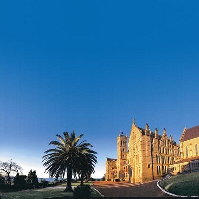 Cơ hội học bổng từ trường International College Of Management, Sydney, Australia