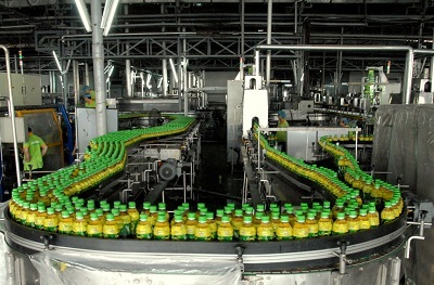 Dây chuyền sản xuất trà xanh