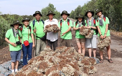 Đại sứ môi trường Bayer tham quan khu vực phơi củ kiệu